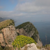 La baia di ieranto - proloco due golfi