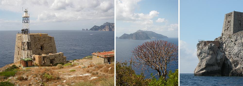 Immagini di punta campanella a Massa Lubrense